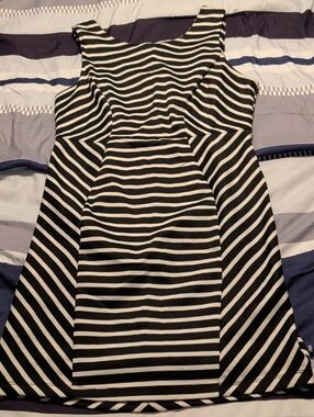 Bisou Bisou Black and White Striped Dress